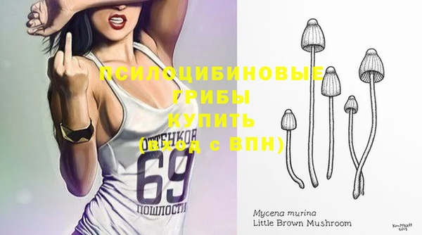 амф Алзамай