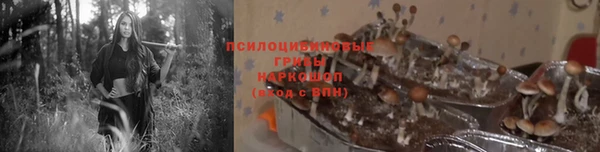 метамфетамин Алексеевка