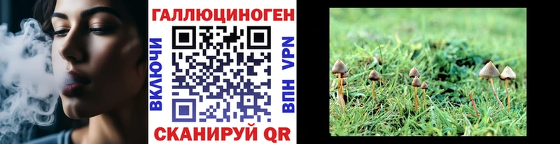 Псилоцибиновые грибы GOLDEN TEACHER  Рыбное 